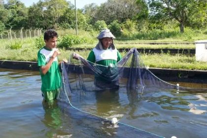 IFAM abre seleção para cursos de Aquicultura em Alvarães e Tefé
