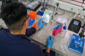 IEL AM abre seleção com vagas para estágio em cinco áreas