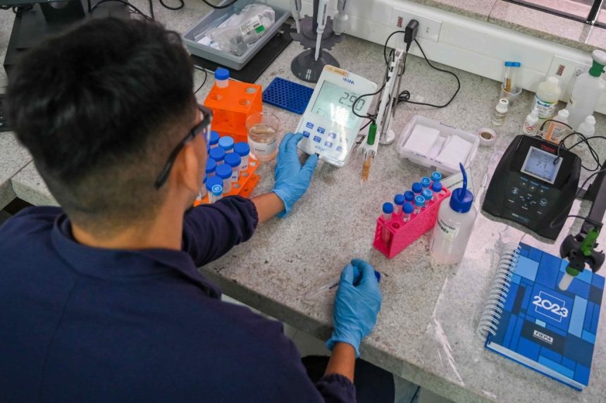 IEL AM abre seleção com vagas para estágio em cinco áreas