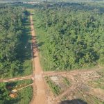 Imagem aérea de uma floresta tropical com pisa de terra e área desmatada.