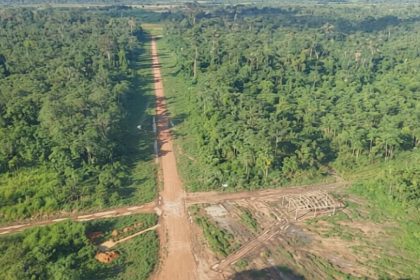 Imagem aérea de uma floresta tropical com pisa de terra e área desmatada.
