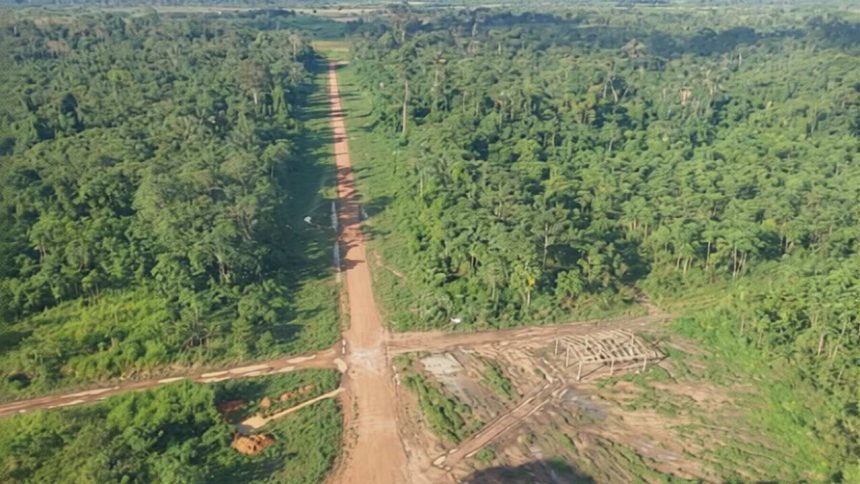 Imagem aérea de uma floresta tropical com pisa de terra e área desmatada.