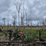 Operação Tamoiotatá 6 aplicou mais R$ 10 milhões em multas