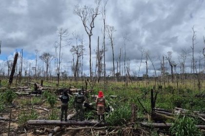 Operação Tamoiotatá 6 aplicou mais R$ 10 milhões em multas