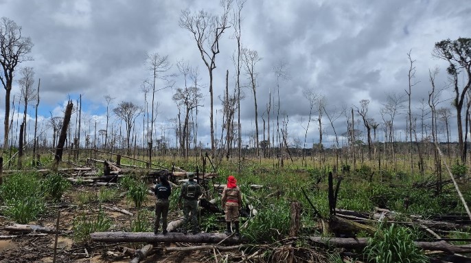 Operação Tamoiotatá 6 aplicou mais R$ 10 milhões em multas