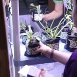 Fapeam abre inscrições para programas de incentivo à pesquisas