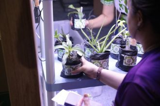 Fapeam abre inscrições para programas de incentivo à pesquisas