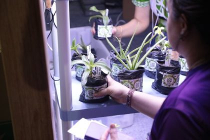 Fapeam abre inscrições para programas de incentivo à pesquisas