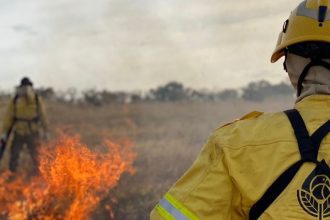 Em Manicoré, seleção abre seis vagas para brigadistas ambientais