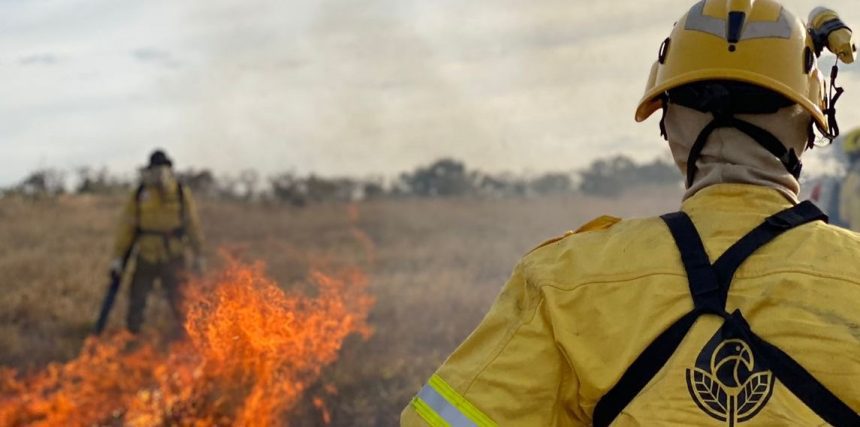 Em Manicoré, seleção abre seis vagas para brigadistas ambientais