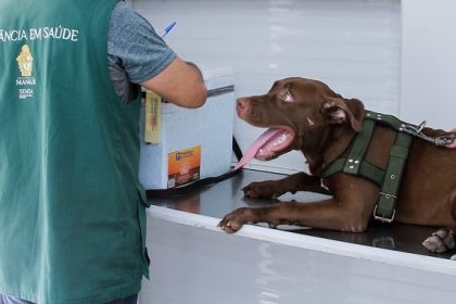 Agendamento para castração de animais no CCZ Manaus