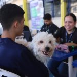Mutirão para castração gratuita de animais no bairro Betânia