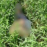 Com mãos amarradas, homem é encontrado morto em matagal em Manacapuru