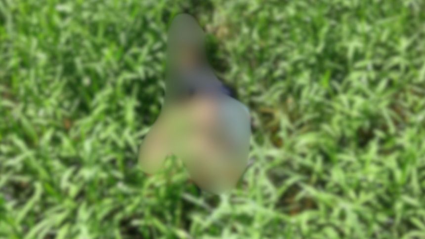 Com mãos amarradas, homem é encontrado morto em matagal em Manacapuru