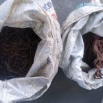 Homem é preso suspeito de homicídio e furtos de fios elétricos no Amazonas