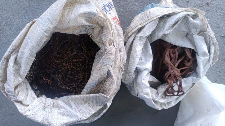 Homem é preso suspeito de homicídio e furtos de fios elétricos no Amazonas