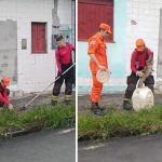 Filhote de jacaré é resgatado por bombeiros na zona norte de Manaus