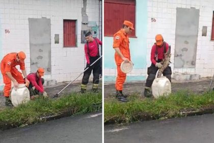 Filhote de jacaré é resgatado por bombeiros na zona norte de Manaus