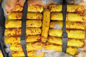 Polícia Federal apreende 37 kg de maconha skunk no aeroporto em Manaus