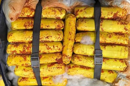 Polícia Federal apreende 37 kg de maconha skunk no aeroporto em Manaus