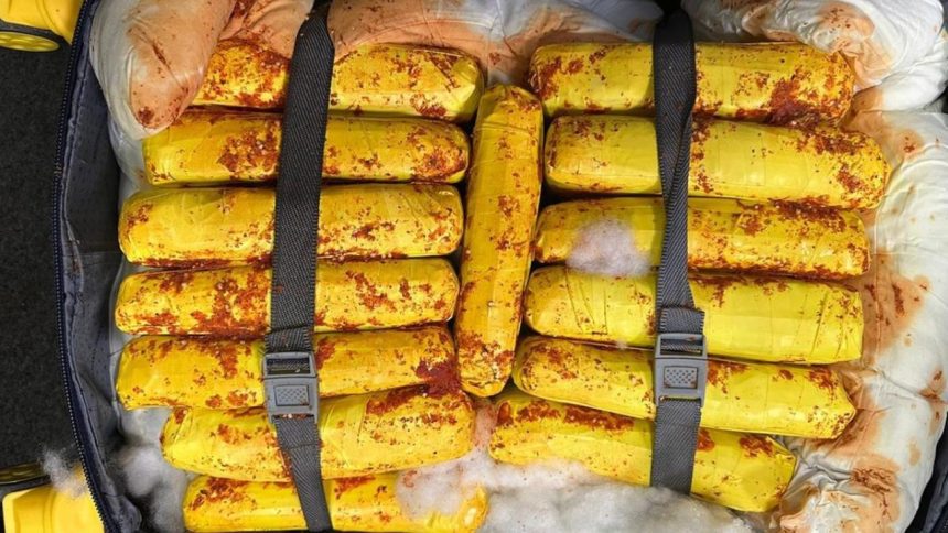 Polícia Federal apreende 37 kg de maconha skunk no aeroporto em Manaus