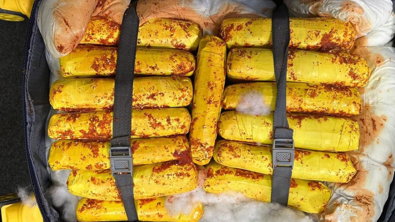 Polícia Federal apreende 37 kg de maconha skunk no aeroporto em Manaus