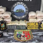 Polícia apreende mais de 40 kg de maconha escondidos em embarcação no AM