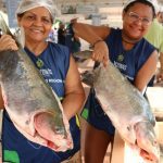 Manaus recebe Feirão do Pescado com 90 toneladas de peixe nesta semana