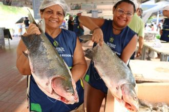 Manaus recebe Feirão do Pescado com 90 toneladas de peixe nesta semana
