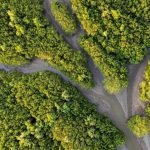 Com bolsas de R$ 10 mil para reportagens, Edital Conexão Oceano recebe inscrições até 22 de abril