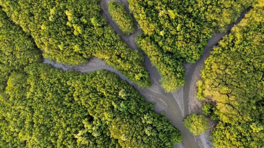 Com bolsas de R$ 10 mil para reportagens, Edital Conexão Oceano recebe inscrições até 22 de abril