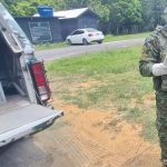 Jiboia de 3 metros é resgatada em área de jardim de escola em Manaus