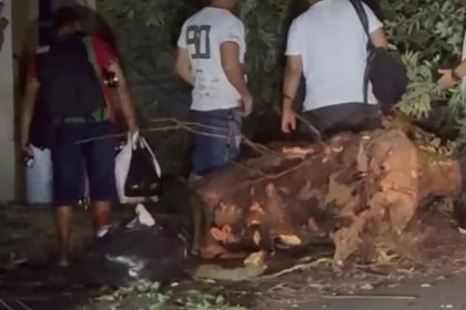 Caminhão atinge fiação, derruba árvore e causa interrupção de energia no Centro