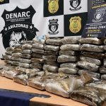 Maconha do tipo skunk avaliada em cerca de R$ 3 milhões é apreendida em Manaus
