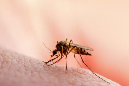 Novo tratamento infantil contra malária começa a ser implantado no Amazonas