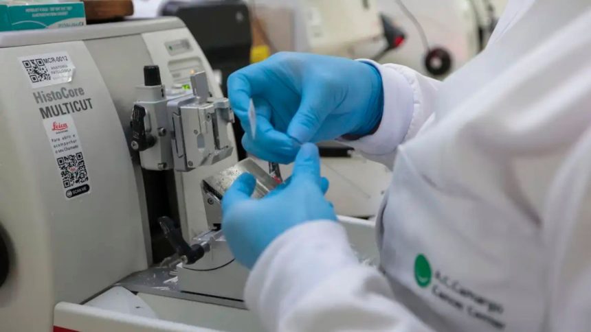 Nova lei amplia acesso a terapias e vacinas contra o câncer no SUS