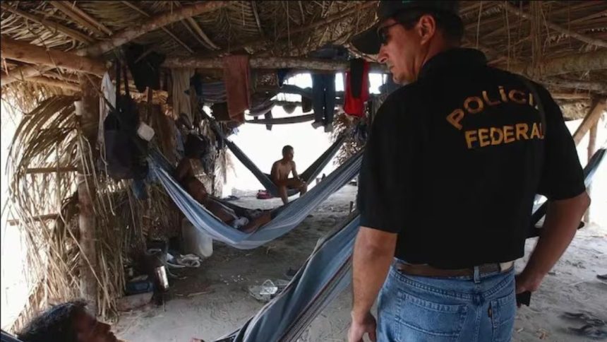Amazonas integra nova lista federal com registros de trabalho análogo à escravidão