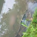 Corpo é encontrado em igarapé no bairro Compensa