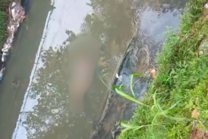 Corpo é encontrado em igarapé no bairro Compensa