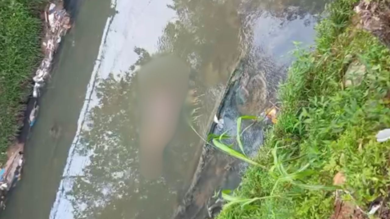 Corpo é encontrado em igarapé no bairro Compensa