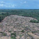 Fiscalização ambiental no sul do Amazonas resulta em mais de R$ 32 milhões em multas