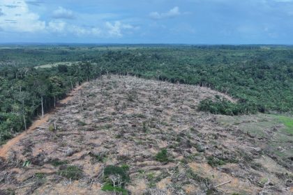 Fiscalização ambiental no sul do Amazonas resulta em mais de R$ 32 milhões em multas