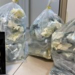 Passageira é presa com 36,5 kg de supermaconha em aeroporto de Manaus