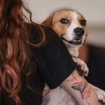 Nova legislação estabelece regras para custódia compartilhada de animais após separação