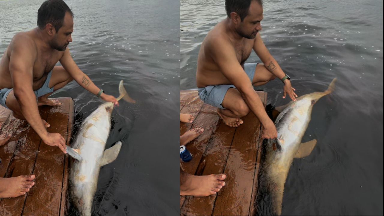 Boto tucuxi é encontrado morto com ferimento de tiro as margens de flutuante em Manaus