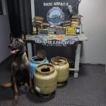 Cão farejador localiza 29,5 kg de drogas em botijas de gás em Coari