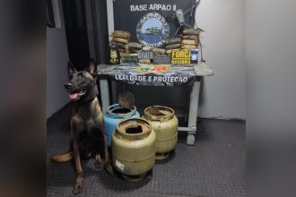 Cão farejador localiza 29,5 kg de drogas em botijas de gás em Coari