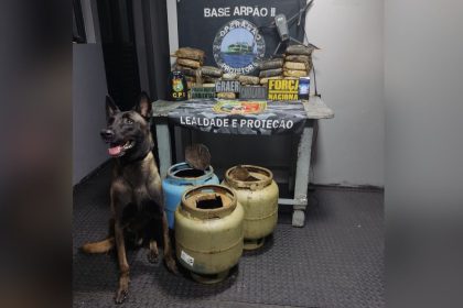 Cão farejador localiza 29,5 kg de drogas em botijas de gás em Coari