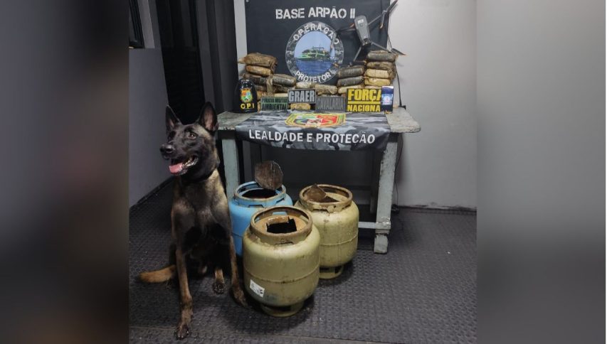 Cão farejador localiza 29,5 kg de drogas em botijas de gás em Coari
