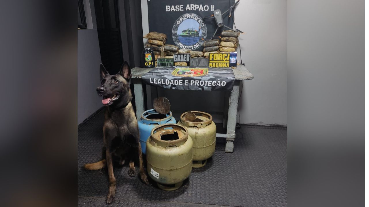 Cão farejador localiza 29,5 kg de drogas em botijas de gás em Coari
